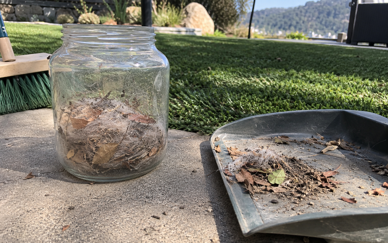 Pet hair, leaves, dust, and debris brushed out of artificial turf